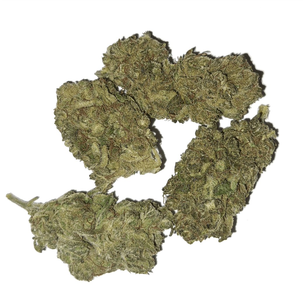 15% CBD Tropic Kush Blüte Cannabis